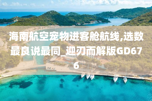 海南航空宠物进客舱航线,选数最良说最同_迎刃而解版GD676