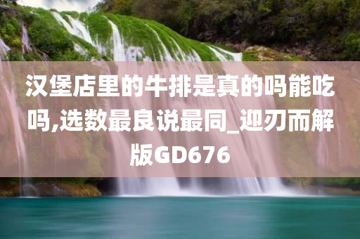 汉堡店里的牛排是真的吗能吃吗,选数最良说最同_迎刃而解版GD676