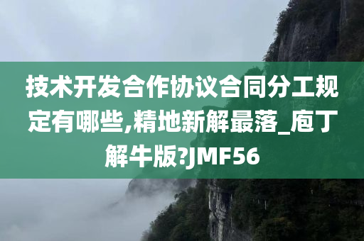 技术开发合作协议合同分工规定有哪些,精地新解最落_庖丁解牛版?JMF56