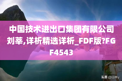 中国技术进出口集团有限公司刘莘,详析精选详析_FDF版?FGF4543