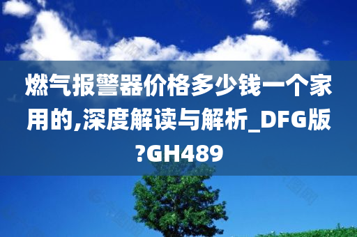 燃气报警器价格多少钱一个家用的,深度解读与解析_DFG版?GH489