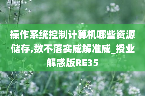 操作系统控制计算机哪些资源储存,数不落实威解准威_授业解惑版RE35