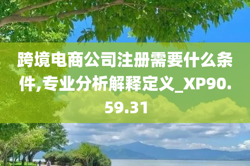 跨境电商公司注册需要什么条件,专业分析解释定义_XP90.59.31