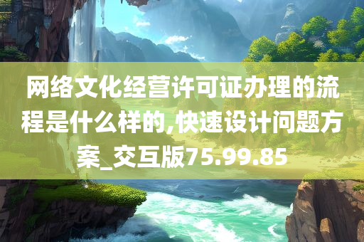 网络文化经营许可证办理的流程是什么样的,快速设计问题方案_交互版75.99.85