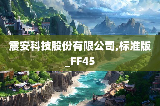 震安科技股份有限公司,标准版_FF45