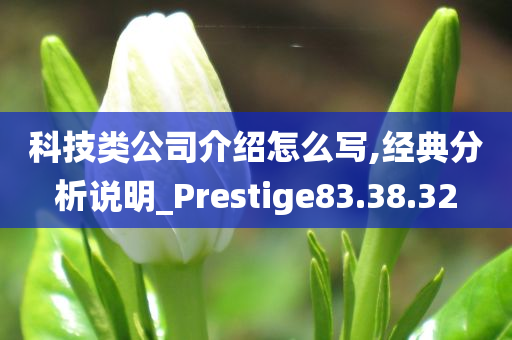 科技类公司介绍怎么写,经典分析说明_Prestige83.38.32