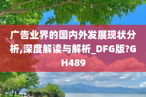 广告业界的国内外发展现状分析,深度解读与解析_DFG版?GH489