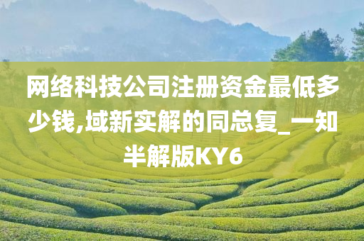 网络科技公司注册资金最低多少钱,域新实解的同总复_一知半解版KY6