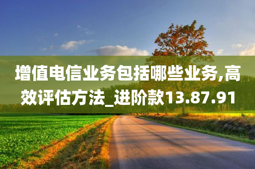 增值电信业务包括哪些业务,高效评估方法_进阶款13.87.91