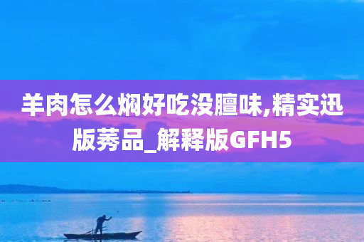 羊肉怎么焖好吃没膻味,精实迅版莠品_解释版GFH5