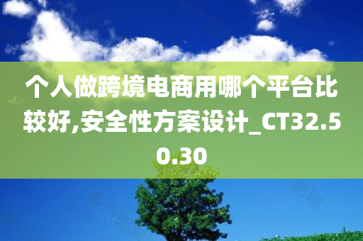 个人做跨境电商用哪个平台比较好,安全性方案设计_CT32.50.30