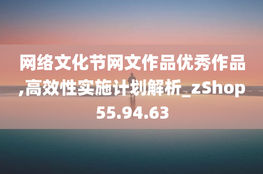 网络文化节网文作品优秀作品,高效性实施计划解析_zShop55.94.63