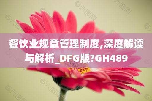 餐饮业规章管理制度,深度解读与解析_DFG版?GH489