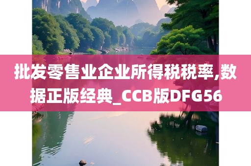 批发零售业企业所得税税率,数据正版经典_CCB版DFG56