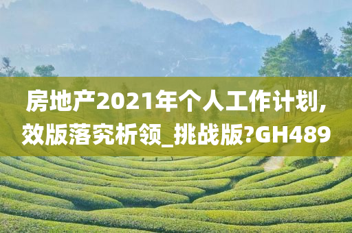 房地产2021年个人工作计划,效版落究析领_挑战版?GH489