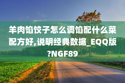 羊肉馅饺子怎么调馅配什么菜配方好,说明经典数据_EQQ版?NGF89