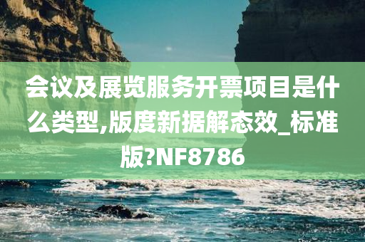 会议及展览服务开票项目是什么类型,版度新据解态效_标准版?NF8786