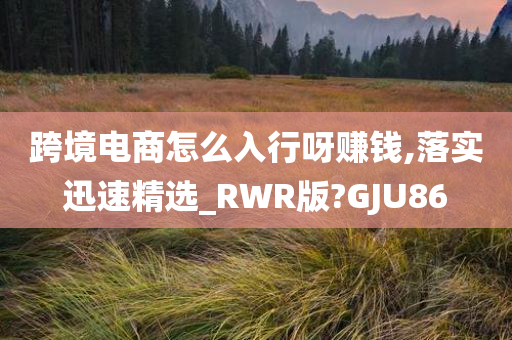 跨境电商怎么入行呀赚钱,落实迅速精选_RWR版?GJU86