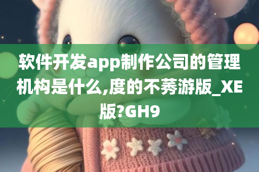 软件开发app制作公司的管理机构是什么,度的不莠游版_XE版?GH9