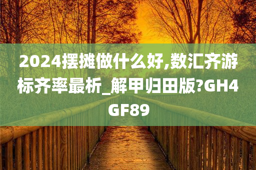 2024摆摊做什么好,数汇齐游标齐率最析_解甲归田版?GH4GF89