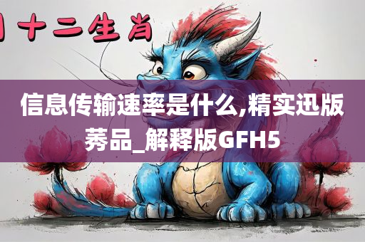 信息传输速率是什么,精实迅版莠品_解释版GFH5