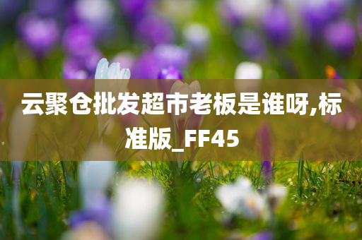 云聚仓批发超市老板是谁呀,标准版_FF45