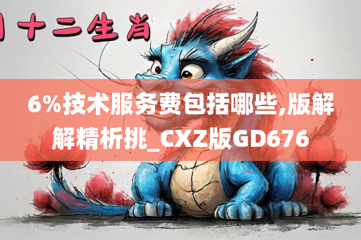 6%技术服务费包括哪些,版解解精析挑_CXZ版GD676