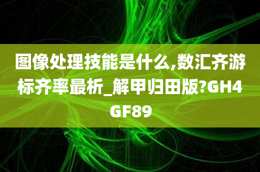 图像处理技能是什么,数汇齐游标齐率最析_解甲归田版?GH4GF89