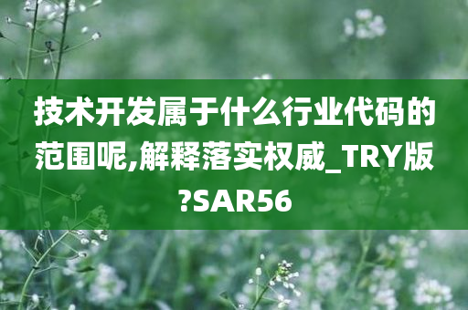 技术开发属于什么行业代码的范围呢,解释落实权威_TRY版?SAR56