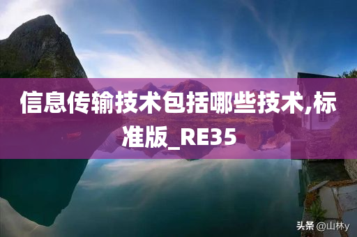 信息传输技术包括哪些技术,标准版_RE35