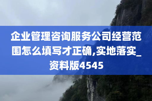 企业管理咨询服务公司经营范围怎么填写才正确,实地落实_资料版4545