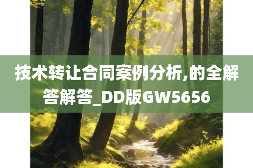 技术转让合同案例分析,的全解答解答_DD版GW5656