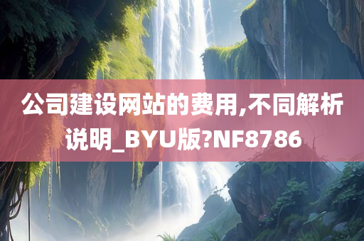 公司建设网站的费用,不同解析说明_BYU版?NF8786