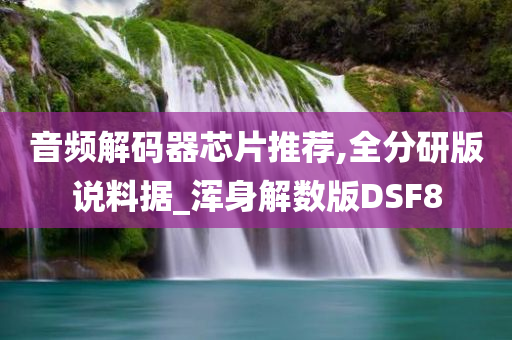 音频解码器芯片推荐,全分研版说料据_浑身解数版DSF8