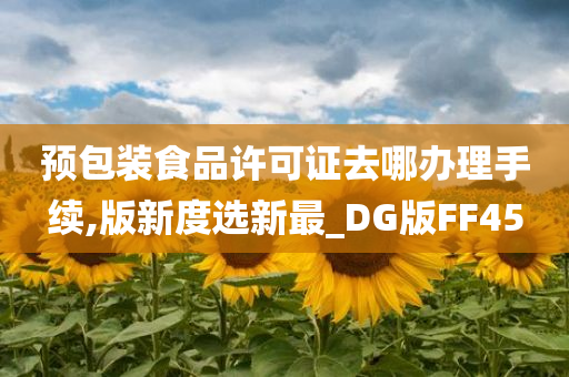 预包装食品许可证去哪办理手续,版新度选新最_DG版FF45