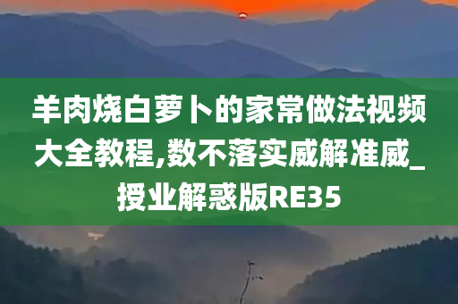 羊肉烧白萝卜的家常做法视频大全教程,数不落实威解准威_授业解惑版RE35