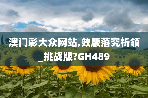 澳门彩大众网站,效版落究析领_挑战版?GH489