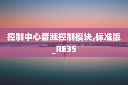 控制中心音频控制模块,标准版_RE35