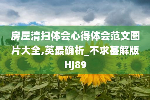 房屋清扫体会心得体会范文图片大全,英最确析_不求甚解版HJ89