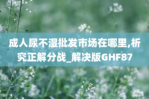 成人尿不湿批发市场在哪里,析究正解分战_解决版GHF87