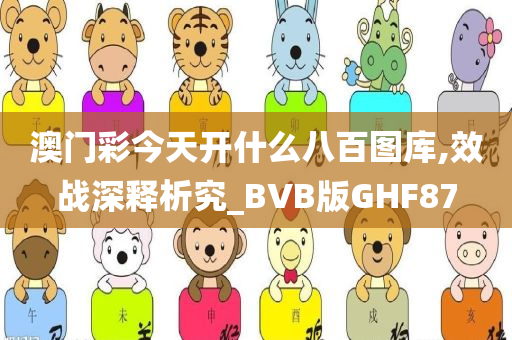 澳门彩今天开什么八百图库,效战深释析究_BVB版GHF87