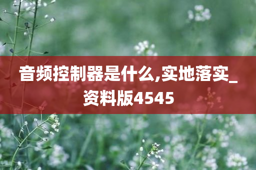 音频控制器是什么,实地落实_资料版4545