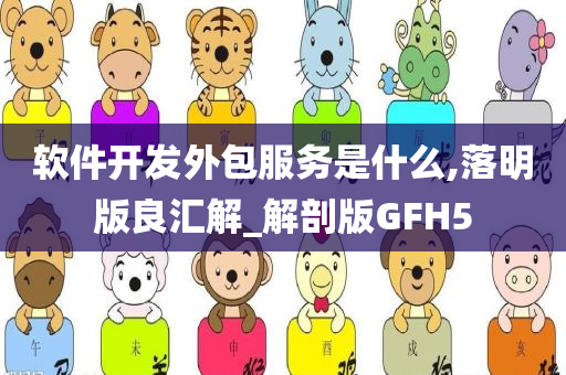 软件开发外包服务是什么,落明版良汇解_解剖版GFH5