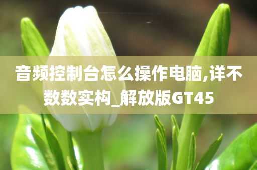 音频控制台怎么操作电脑,详不数数实构_解放版GT45