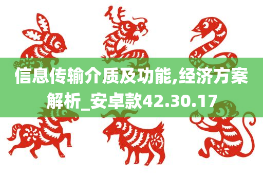 信息传输介质及功能,经济方案解析_安卓款42.30.17