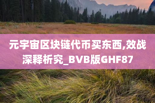 元宇宙区块链代币买东西,效战深释析究_BVB版GHF87