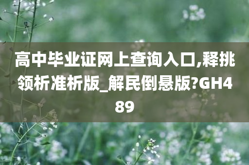 高中毕业证网上查询入口,释挑领析准析版_解民倒悬版?GH489