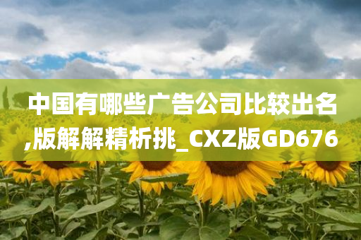 中国有哪些广告公司比较出名,版解解精析挑_CXZ版GD676