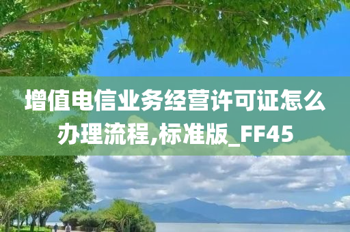 增值电信业务经营许可证怎么办理流程,标准版_FF45