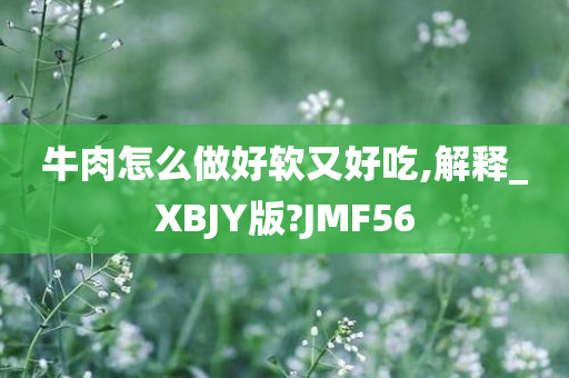 牛肉怎么做好软又好吃,解释_XBJY版?JMF56